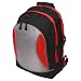 15.4 in. LAPTOP BACKPACK ENJ0115B