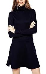 Turtleneck Winter Long Sleeves  Dress