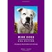 Wine Dogs USA Edition