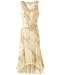Apparel : Mesh embroidered dress