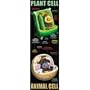 Mcdonald Publishing Mc-v1632 Plant And Animal Cells