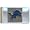 Detroit Lions