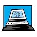 Password Card for Web-Based Cat Dissection Review for Human A&P (Stand Alone Version)