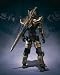 S.I.C. 極魂 仮面ライダーブレイド キングフォーム_s-2