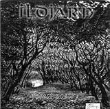 Forest Poetry