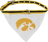 Iowa Hawkeyes Dog Collar Bandana