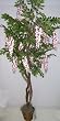 88" Pink Wisteria Tree