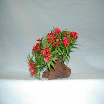 .Rocky mountain 2 color lava plant small anchored by a lava base these plants cannot be uprooted and will not float up. great for aquariums or terrariums. single plant on base.
