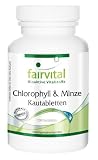 Chlorophyll und Minze 100 Kautabletten