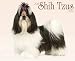 Just Shih Tzus 2010 Calendar