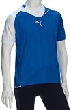 Produkt-Bild: PUMA Herren PowerCat Handball 5.10 Shirt