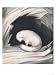 Arctic Fox, from Narrative of a Second Voyage in Search of a North-West Passage Art G...