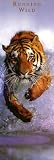 Siberian Tiger "Running Wild" Giant Door Poster 21x62 in. -- Available Frame or Unframed