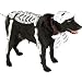 Search : Corpse Bride Pet Halloween Costume Size Medium ((B982))
