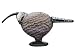 iittala Handblown Glass Limited Edition Willow Curlew
