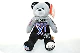 Oakland Raiders vs Minnestota Vikings RARE Offical NFL Super Bowl XI (11) Collectable Plush Bear