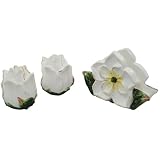 Gardenia Flower Collection Handcrafted Shaker Set