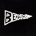 Beak