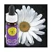 Flower Essence Services - Shasta Daisy Flower Essence - 0.25 oz. ( Multi-Pack)
