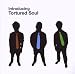 Tortured Soul-Introducing Tortured Soul