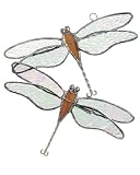 Flocking Dragonflies