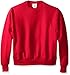 Champion Men's Reverse Weave Sweatshirt