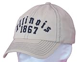 Men`s University of Illinois Established Stone Cap
