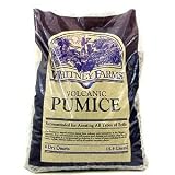 Volcanic Pumice