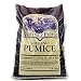 Outdoor Living : PUMICE VOLCANIC 4 QT.