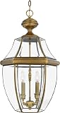 Quoizel Newbury 4-Light Outdoor Hanging Lantern