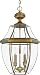 Quoizel Newbury 4-Light Outdoor Hanging Lantern