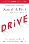 Drive: The Surprising Truth About Wha...