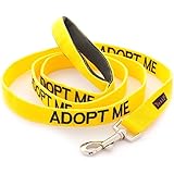 ADOPT ME Yellow Color Coded 4 Foot Padded Dog Leash (New Home Needed) Donate To Your Local Charity