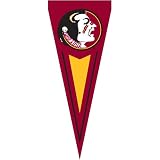Florida State Seminoles NCAA Applique & Embroidered Yard Pennant (34x14)
