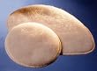 Nursing Pads Ekstra Style, Small