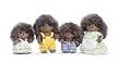 Calico Critters Pickleweeds Hedgehog Family
