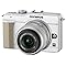 OLYMPUS PEN E-PL1s�Ƃ��̒��Ԃ����B