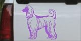 Afghan Hound Animals Car Window Wall Laptop Decal Sticker -- Purple 8in X 8.0in
