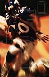 Denver Broncos Terrell Davis Nike TD30 Poster Poster Print, 22x34