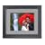 Kodak EasyShare D1030 10 inch Digital Photo Frame