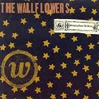 Bringing Down the Horse by The Wallflowers