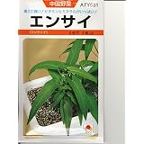 中国野菜　タキイ　エンサイ（空芯菜）　タキイの空芯菜種です