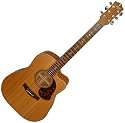 Maton ECW80C