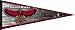 Atlanta Hawks NBA Team Pennant
