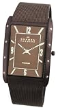 Skagen Titanium Mesh Mens Watch 388LTMD