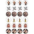 WWE Wrestling style 24 Edible Wafer Paper Fairy/Cup Cake Toppers on an A4 sheet - Birthday Cake and Party Idea