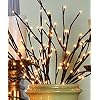 The Light Garden WLWB96 Willow Branch with 96 Lights