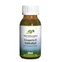 Native Remedies Congesto-K KiddieRub Chest Massage Oil, 60 ml