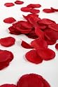 300 Deep Red Silk Rose Petals - Great For Valentines