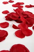 300 Deep Red Silk Rose Petals - Great For Valentines